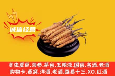 无锡回收冬虫夏草